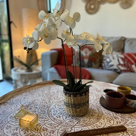 Nomad Bali